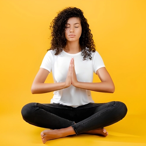 Centre De Meditation Kadampa Nantes Meditation Pour Gerer Nos Emotions 500x500 centre de meditation kadampa nantes meditation pour gerer nos emotions 500x500 1